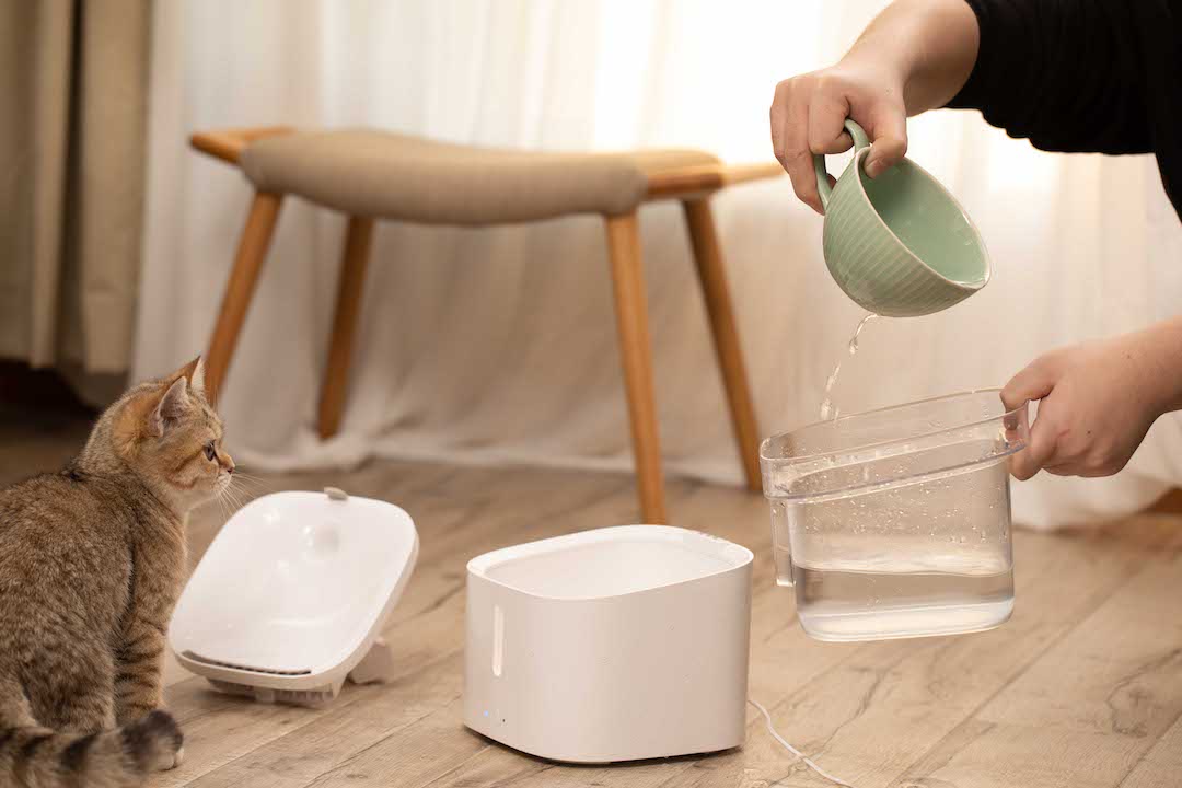 寵物也能享受<span  style='background-color:Yellow;'>科技</span>的美好  小頑智能寵物飲水機眾籌149元