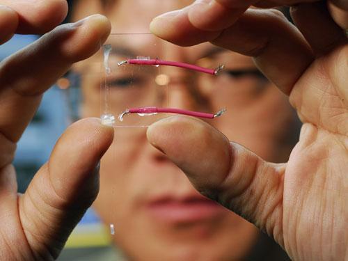 你知道嗎？這是未來30年十大最酷<span  style='background-color:Yellow;'>科技</span>發明 